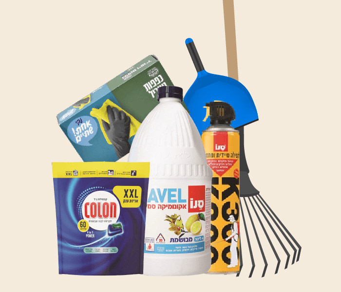 ניקיון לבית ולגינה